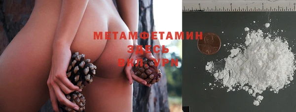 PSILOCYBIN Волосово