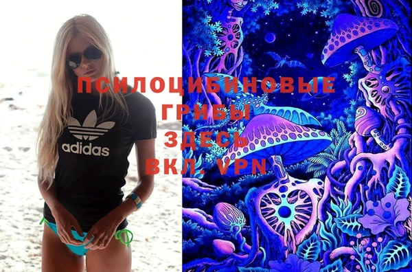 mdpv Володарск