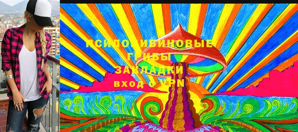 PSILOCYBIN Волосово