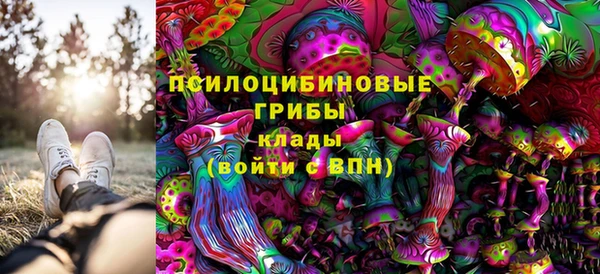 PSILOCYBIN Волосово